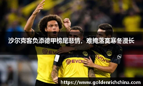 沙尔克客负添德甲榜尾悲情，难掩落寞寒冬漫长