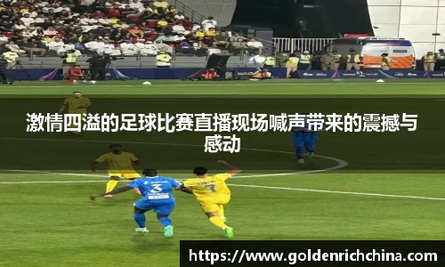 激情四溢的足球比赛直播现场喊声带来的震撼与感动